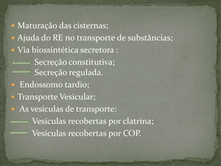  Maturação das cisternas;
 Ajuda do RE no transporte de substâncias;
 Via biossintética secretora :
Secreção constitutiva;
Secreção regulada.
 Endossomo tardio;
 Transporte Vesicular;
 As vesículas de transporte:
Vesículas recobertas por clatrina;
Vesículas recobertas por COP.
 