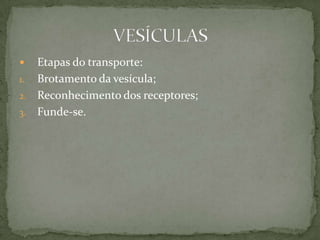  Etapas do transporte:
1. Brotamento da vesícula;
2. Reconhecimento dos receptores;
3. Funde-se.
 