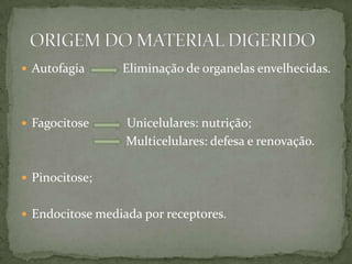  Autofagia Eliminação de organelas envelhecidas.
 Fagocitose Unicelulares: nutrição;
Multicelulares: defesa e renovação.
 Pinocitose;
 Endocitose mediada por receptores.
 