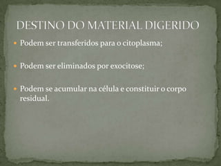  Podem ser transferidos para o citoplasma;
 Podem ser eliminados por exocitose;
 Podem se acumular na célula e constituir o corpo
residual.
 