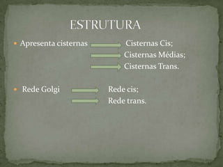  Apresenta cisternas Cisternas Cis;
Cisternas Médias;
Cisternas Trans.
 Rede Golgi Rede cis;
Rede trans.
 