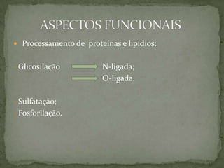  Processamento de proteínas e lipídios:
- Glicosilação N-ligada;
O-ligada.
- Sulfatação;
- Fosforilação.
 