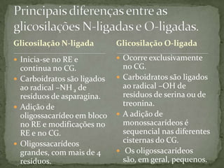 Glicosilação N-ligada
 Inicia-se no RE e
continua no CG.
 Carboidratos são ligados
ao radical –NH 2 de
resíduos de asparagina.
 Adição de
oligossacarídeo em bloco
no RE e modificações no
RE e no CG.
 Oligossacarídeos
grandes, com mais de 4
resíduos.
 Ocorre exclusivamente
no CG.
 Carboidratos são ligados
ao radical –OH de
resíduos de serina ou de
treonina.
 A adição de
monossacarídeos é
sequencial nas diferentes
cisternas do CG.
 Os oligossacarídeos
são, em geral, pequenos.
Glicosilação O-ligada
 