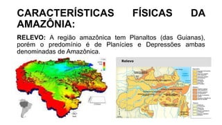 CARACTERÍSTICAS FÍSICAS DA
AMAZÔNIA:
RELEVO: A região amazônica tem Planaltos (das Guianas),
porém o predomínio é de Planícies e Depressões ambas
denominadas de Amazônica.
 