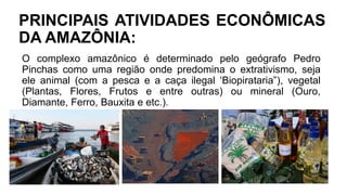 PRINCIPAIS ATIVIDADES ECONÔMICAS
DA AMAZÔNIA:
O complexo amazônico é determinado pelo geógrafo Pedro
Pinchas como uma região onde predomina o extrativismo, seja
ele animal (com a pesca e a caça ilegal ‘Biopirataria”), vegetal
(Plantas, Flores, Frutos e entre outras) ou mineral (Ouro,
Diamante, Ferro, Bauxita e etc.).
 