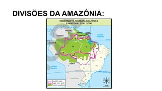 DIVISÕES DA AMAZÔNIA:
 