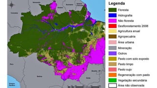 COMPLEXO DA AMAZÔNIA.pdf