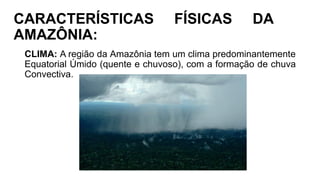 CARACTERÍSTICAS FÍSICAS DA
AMAZÔNIA:
CLIMA: A região da Amazônia tem um clima predominantemente
Equatorial Úmido (quente e chuvoso), com a formação de chuva
Convectiva.
 