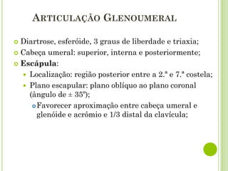 ARTICULAÇÃO GLENOUMERAL
 Diartrose, esferóide, 3 graus de liberdade e triaxia;
 Cabeça umeral: superior, interna e posteriormente;
 Escápula:
 Localização: região posterior entre a 2.ª e 7.ª costela;
 Plano escapular: plano oblíquo ao plano coronal
(ângulo de ± 35º);
Favorecer aproximação entre cabeça umeral e
glenóide e acrômio e 1/3 distal da clavícula;
 