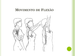 MOVIMENTO DE FLEXÃO
 