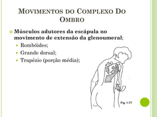  Músculos adutores da escápula no
movimento de extensão da glenoumeral;
 Rombóides;
 Grande dorsal;
 Trapézio (porção média);
MOVIMENTOS DO COMPLEXO DO
OMBRO
 