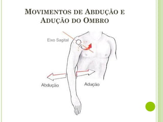 MOVIMENTOS DE ABDUÇÃO E
ADUÇÃO DO OMBRO
Eixo Sagital
 