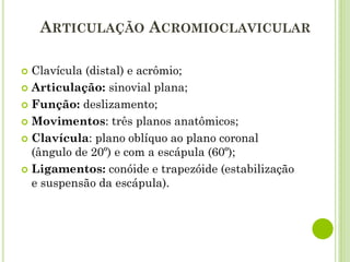 ARTICULAÇÃO ACROMIOCLAVICULAR
 Clavícula (distal) e acrômio;
 Articulação: sinovial plana;
 Função: deslizamento;
 Movimentos: três planos anatômicos;
 Clavícula: plano oblíquo ao plano coronal
(ângulo de 20º) e com a escápula (60º);
 Ligamentos: conóide e trapezóide (estabilização
e suspensão da escápula).
 