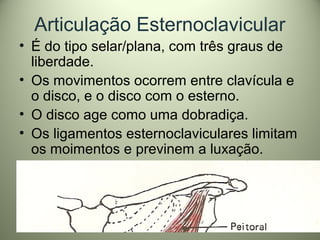 Articulação Esternoclavicular
• É do tipo selar/plana, com três graus de
liberdade.
• Os movimentos ocorrem entre clavícula e
o disco, e o disco com o esterno.
• O disco age como uma dobradiça.
• Os ligamentos esternoclaviculares limitam
os moimentos e previnem a luxação.
 