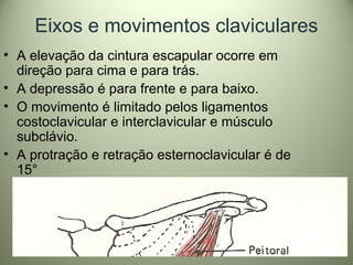 Eixos e movimentos claviculares
• A elevação da cintura escapular ocorre em
direção para cima e para trás.
• A depressão é para frente e para baixo.
• O movimento é limitado pelos ligamentos
costoclavicular e interclavicular e músculo
subclávio.
• A protração e retração esternoclavicular é de
15°
 