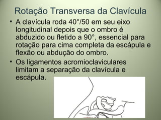 Rotação Transversa da Clavícula
• A clavícula roda 40°/50 em seu eixo
longitudinal depois que o ombro é
abduzido ou fletido a 90°, essencial para
rotação para cima completa da escápula e
flexão ou abdução do ombro.
• Os ligamentos acromioclaviculares
limitam a separação da clavícula e
escápula.
 