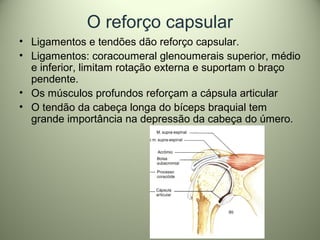 O reforço capsular
• Ligamentos e tendões dão reforço capsular.
• Ligamentos: coracoumeral glenoumerais superior, médio
e inferior, limitam rotação externa e suportam o braço
pendente.
• Os músculos profundos reforçam a cápsula articular
• O tendão da cabeça longa do bíceps braquial tem
grande importância na depressão da cabeça do úmero.
 