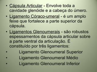 • Cápsula Articular - Envolve toda a
cavidade glenóide e a cabeça do úmero.
• Ligamento Córaco-umeral - é um amplo
feixe que fortalece a parte superior da
cápsula.
• Ligamentos Glenoumerais - são robustos
espessamentos da cápsula articular sobre
a parte ventral da articulação. É
constituído por três ligamentos:
• Ligamento Glenoumeral Superior
• Ligamento Glenoumeral Médio
• Ligamento Glenoumeral Inferior
 
