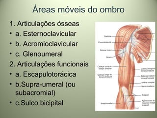 Áreas móveis do ombro
1. Articulações ósseas
• a. Esternoclavicular
• b. Acromioclavicular
• c. Glenoumeral
2. Articulações funcionais
• a. Escapulotorácica
• b.Supra-umeral (ou
subacromial)
• c.Sulco bicipital
 
