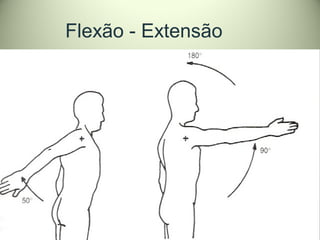 Flexão - Extensão
 