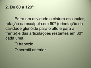2. De 60 a 120º:
Entra em atividade a cintura escapular,
rotação da escápula em 60º (orientação da
cavidade glenóide para o alto e para a
frente) e das articulações restantes em 30º
cada uma.
O trapézio
O serrátil anterior
 