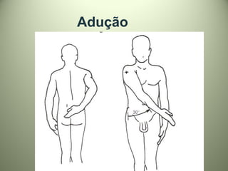 Adução
 
