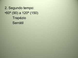 2. Segundo tempo:
•60º (90) a 120º (150)
Trapézio
Serrátil
 