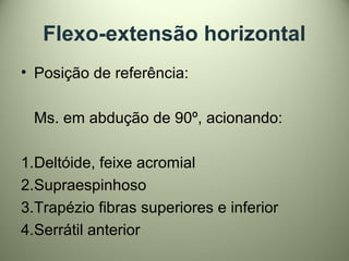 Flexo-extensão horizontal
• Posição de referência:
Ms. em abdução de 90º, acionando:
1.Deltóide, feixe acromial
2.Supraespinhoso
3.Trapézio fibras superiores e inferior
4.Serrátil anterior
 