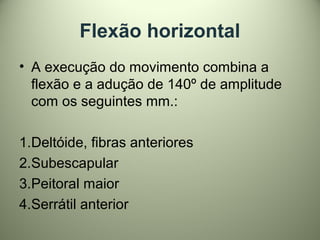 Flexão horizontal
• A execução do movimento combina a
flexão e a adução de 140º de amplitude
com os seguintes mm.:
1.Deltóide, fibras anteriores
2.Subescapular
3.Peitoral maior
4.Serrátil anterior
 