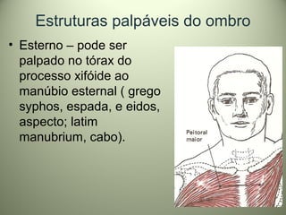 Estruturas palpáveis do ombro
• Esterno – pode ser
palpado no tórax do
processo xifóide ao
manúbio esternal ( grego
syphos, espada, e eidos,
aspecto; latim
manubrium, cabo).
 