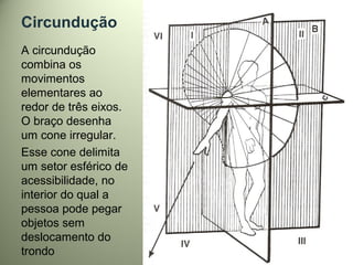 Circundução
A circundução
combina os
movimentos
elementares ao
redor de três eixos.
O braço desenha
um cone irregular.
Esse cone delimita
um setor esférico de
acessibilidade, no
interior do qual a
pessoa pode pegar
objetos sem
deslocamento do
trondo
 