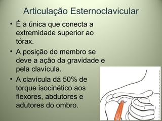 Articulação Esternoclavicular
• É a única que conecta a
extremidade superior ao
tórax.
• A posição do membro se
deve a açã...