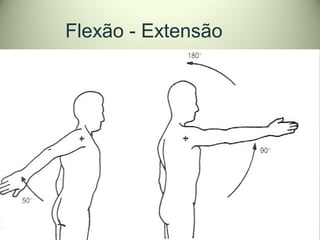 Flexo-extensão horizontal
• Posição de referência:
Ms. em abdução de 90º, acionando:
1.Deltóide, feixe acromial
2.Supraesp...