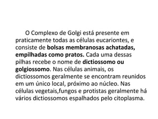 O Complexo de Golgi está presente em
praticamente todas as células eucariontes, e
consiste de bolsas membranosas achatadas,
empilhadas como pratos. Cada uma dessas
pilhas recebe o nome de dictiossomo ou
golgiossomo. Nas células animais, os
dictiossomos geralmente se encontram reunidos
em um único local, próximo ao núcleo. Nas
células vegetais,fungos e protistas geralmente há
vários dictiossomos espalhados pelo citoplasma.

 