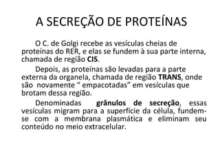 A SECREÇÃO DE PROTEÍNAS
O C. de Golgi recebe as vesículas cheias de
proteínas do RER, e elas se fundem à sua parte interna,
chamada de região CIS.
Depois, as proteínas são levadas para a parte
externa da organela, chamada de região TRANS, onde
são novamente “ empacotadas” em vesículas que
brotam dessa região.
Denominadas
grânulos de secreção, essas
vesículas migram para a superfície da célula, fundemse com a membrana plasmática e eliminam seu
conteúdo no meio extracelular.

 