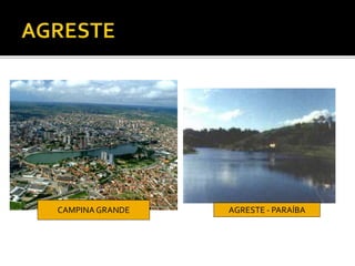AGRESTE - PARAÍBACAMPINA GRANDE
 