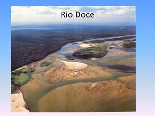 Rio Doce
 