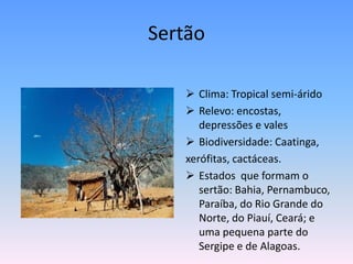 Sertão

    Clima: Tropical semi-árido
    Relevo: encostas,
      depressões e vales
    Biodiversidade: Caatinga,
   xerófitas, cactáceas.
    Estados que formam o
      sertão: Bahia, Pernambuco,
      Paraíba, do Rio Grande do
      Norte, do Piauí, Ceará; e
      uma pequena parte do
      Sergipe e de Alagoas.
 