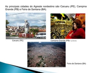 As principais cidades do Agreste nordestino são Caruaru (PE), Campina
Grande (PB) e Feira de Santana (BA).
Caruaru (PE) Campina Grande (PB)- by Dilminha
Feira de Santana (BA)
 