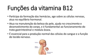 Funções da vitamina B12
• Participa da formação das hemácias, age sobre as células nervoas,
atua no equilíbrio hormonal.
• Atua na manutenção da beleza da pele, ajuda no crescimento e
desenvolvimento do corpo, e é fundamental ao funcionamento do
trato gastrintestinal e medula óssea.
• É essencial para a produção normal das células do sangue e a função
do tecido nervoso.
 