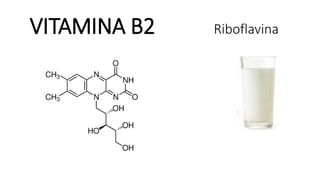 VITAMINA B2 Riboflavina
 