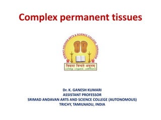 Complex permanent tissues
Dr. K. GANESH KUMARI
ASSISTANT PROFESSOR
SRIMAD ANDAVAN ARTS AND SCIENCE COLLEGE (AUTONOMOUS)
TRICHY, TAMILNADU, INDIA
 
