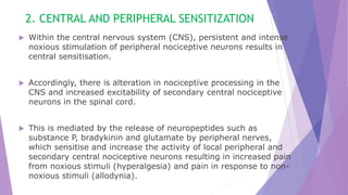 2. CENTRAL AND PERIPHERAL SENSITIZATION
 Within the central nervous system (CNS), persistent and intense
noxious stimulation of peripheral nociceptive neurons results in
central sensitisation.
 Accordingly, there is alteration in nociceptive processing in the
CNS and increased excitability of secondary central nociceptive
neurons in the spinal cord.
 This is mediated by the release of neuropeptides such as
substance P, bradykinin and glutamate by peripheral nerves,
which sensitise and increase the activity of local peripheral and
secondary central nociceptive neurons resulting in increased pain
from noxious stimuli (hyperalgesia) and pain in response to non-
noxious stimuli (allodynia).
 