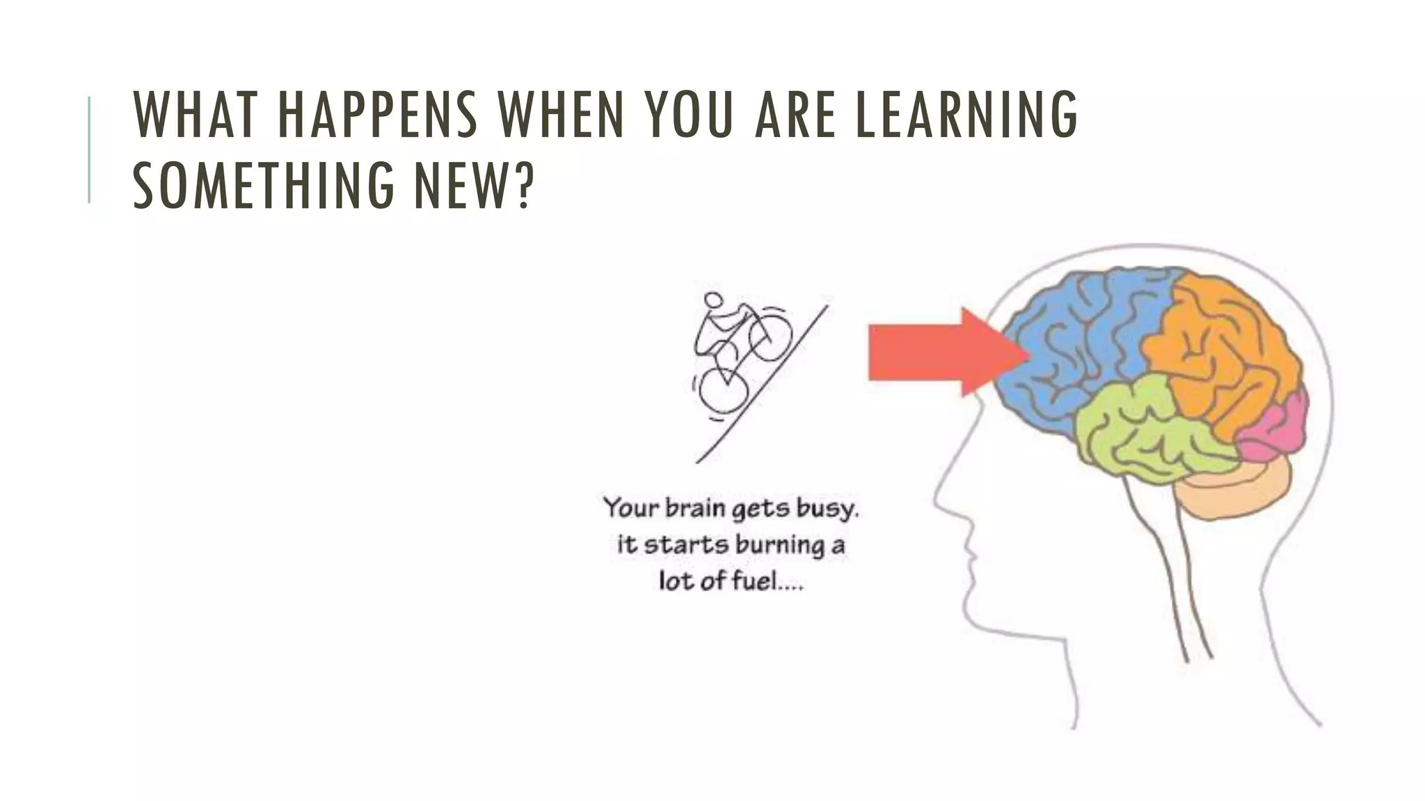 WHAT HAPPENS WHEN YOU ARE LEARNING
SOMETHING NEW?
 