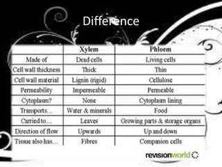 Difference 
 