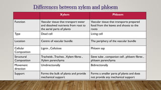 Xylem Phloem
Function Vascular tissue that transport water
and dissolved nutrients from root to
the aerial parts of plants
Vascular tissue that transports prepared
food from the leaves and shoots to the
roots
Type Dead cell Living cell
Location Centre of vascular bundle The periphery of the vascular bundle
Cellular
Composition
Lignin , Cellulose Phloem sap
Structural
Composition
Tracheids ,Trachea , Xylem fibres ,
Xylem parenchyma
Sieve tube , companion cell , phloem fibres ,
phloem parenchyma
Movement
direction
Unidirectionally Bidirectionally
Support Forms the bulk of plants and provide
mechanical support
Forms a smaller parts pf plants and does
not provide any mechanical support
Differences between xylem and phloem
 