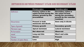 Differences between primary xylem and secondary xylem
Primary xylem Secondary xylem
Definition Primary xylem is the
xylem formed during the
primary growth by the
procambium
Secondary xylem is
the xylem formed
during the secondary
growth by the vascular
cambium
Occurrence Present in both
monocots and dicots
Seen only in dicots
Types of growth Primary growth Secondary growth
Meristem type Apical meristem Lateral meristem
Pit formation Not observed Observed
vessel Long and thin Short and wide
Tyloses Absent Present
Number of xylem fibres Less High
 