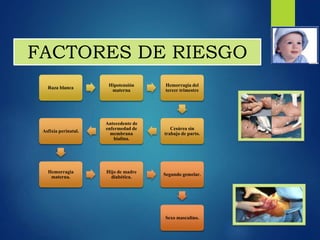 FACTORES DE RIESGO
Raza blanca
Hipotensión
materna
Hemorragia del
tercer trimestre
Cesárea sin
trabajo de parto.
Antecedente de
enfermedad de
membrana
hialina.
Asfixia perinatal.
Hemorragia
materna.
Hijo de madre
diabética.
Segundo gemelar.
Sexo masculino.
 
