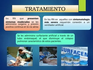 TRATAMIENTO
los RN que presenten
síntomas moderados se les
administra oxígeno y presión
positiva continua en la vía aérea
En los RN en aquellos con sintomatología
más severa requerirán conexión a un
ventilador artificial.
Se les administra surfactante artificial a través de un
tubo endotraquel, el que disminuye el colapso
pulmonar característico de estos pacientes.
 