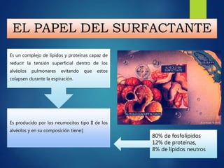 EL PAPEL DEL SURFACTANTE
Es producido por los neumocitos tipo II de los
alvéolos y en su composición tiene:|
Es un complejo de lípidos y proteínas capaz de
reducir la tensión superficial dentro de los
alvéolos pulmonares evitando que estos
colapsen durante la espiración.
80% de fosfolípidos
12% de proteínas,
8% de lípidos neutros
 